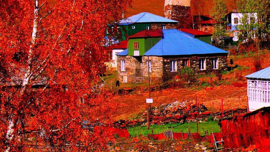 Guest House Qaldea Ушгули Екстериор снимка